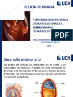 Desarrollo Embrionario Desarrollo Fetal