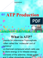 Cellular Respiration.. Atp Production