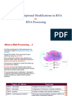 RNA Processing