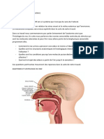 Biophysique Du Nez