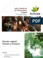 Encuentro Mundo Vegetal - Arboles y Bosques