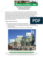 Electricity From Woody Biomass