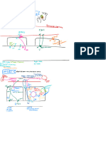 BIOL270 5.1 Renal Physiology