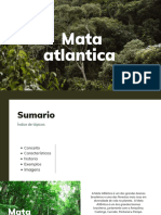 Mata Atlantica