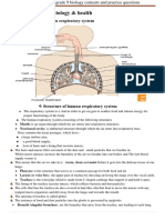 UNIT: 3 Human Biology & Health: 3.3. The Human Respiratory System