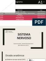 Sistema Nervoso