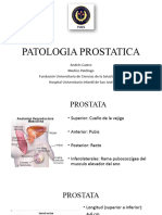 Prostata