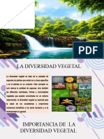 Diversidad Vegetal Botanica