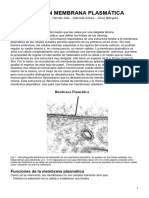 Resumen Membrana Plasmã Tica 2024