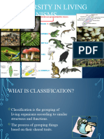 Classification Introduction and Plant Kingdom