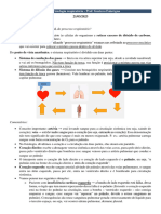 Aula 1 - Fisiologia Respiratoia - Prof. Gustavo Falavigna