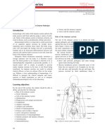 Section 2 Immunology