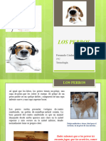 Investigación Los Perros - Fernanda Cardenas Moraga.