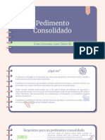 Pedimento Consolidado