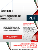 Modulo 1 Metodologia de Atencion