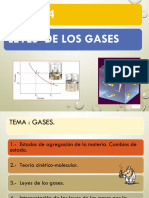 Gases 2024