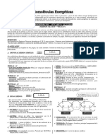 Clase 04 - Biomoléculas Energéticas (Glúcidos, Lípidos y Proteínas)