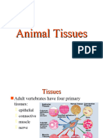 Animal Tissues