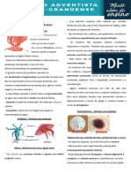 Revisão Invertebrados