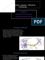 Comparative Anatomy of Brain in Vertebrates PPT I