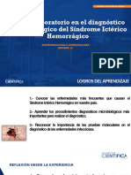 Microbiología e Inmunol-Sindrome Icterohemorragico-Semana 13-16