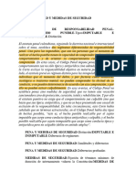 c297:02 Inimputabilidad y Medidas de Seguridad