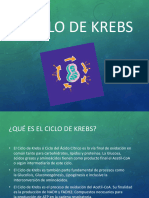 Ciclo de Krebs