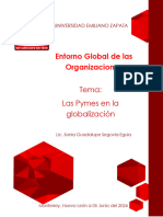 Las Pymes en La Globalizacion