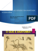 Introdução Anatomia