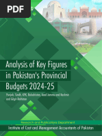 Analysis of Key Figures in Pakistan's Provincial Budgets 2024-25