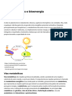 Vias Metabólicas e Bioenergia - Realize