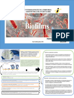 Cómo Se Forman Los Biofilms y Cómo Crecen