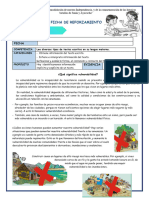 Reforzam-Comun-Qué Significa Vulnerabilidad-Jezabel Camargo-Único Contacto 914775350