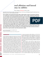 013 Partial Ear Canal Ablation in Rabbits