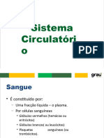 Aula Anatomia Rev. Sist. Cardiovascular