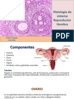 Histologiasistemareproductorfemaut 150517015245 Lva1 App6891