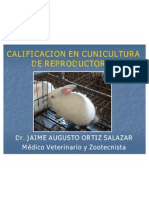 Calificacion Conejo