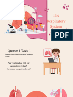 The Respiratory System