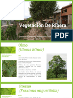 Presentacion Plantas de Ribera Son Trias II