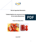 Informe Final Conservas de Tomate RSA