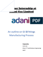 Adani Summer Intern Report