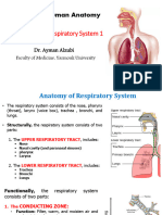 Respiratory System 1