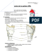 1) Anatomie de la sph - ذre ORL