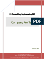 ES Consulting Company v1