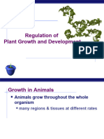 Plant Growth 2017