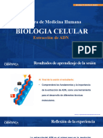 PR N° 09 Extracción de ADN (MOD)