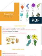 Protozoários