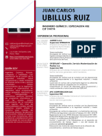 Curriculum Vitae