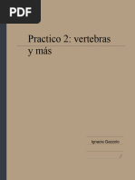 PRACTICO 2 - Vertebras Y Demás