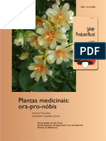 Plantas Medicinais Orapronóbis